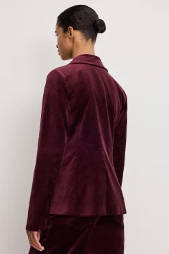 velvet sculpted blazer